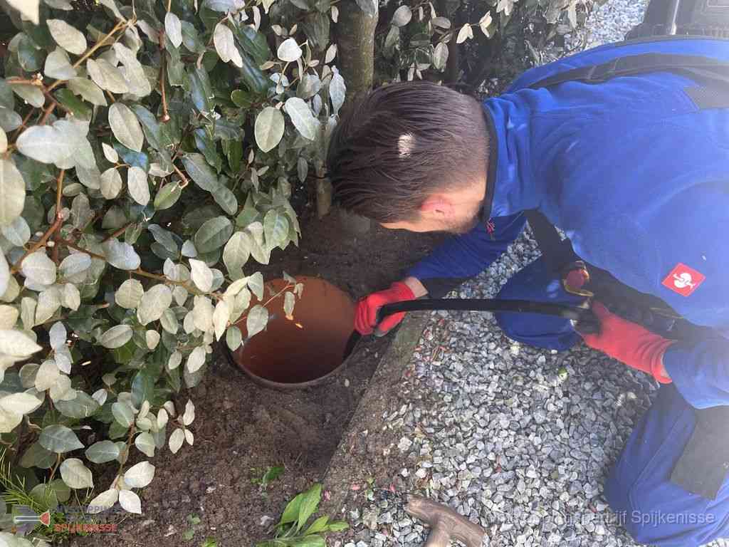Rioolvliegjes Spijkenisse